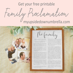 Peut inclure: Une impression encadr&eacute;e avec un fond gris clair et le texte "The Family" en grande police grise fonc&eacute;e. Le texte "A Proclamation to the World" est &eacute;galement visible, ainsi qu'une partie du texte de la proclamation sur la famille publi&eacute;e par la Premi&egrave;re Pr&eacute;sidence de l'&Eacute;glise de J&eacute;sus-Christ des Saints des Derniers Jours le 23 septembre 1995.