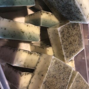 Eucalyptus & Spearmint Body soap