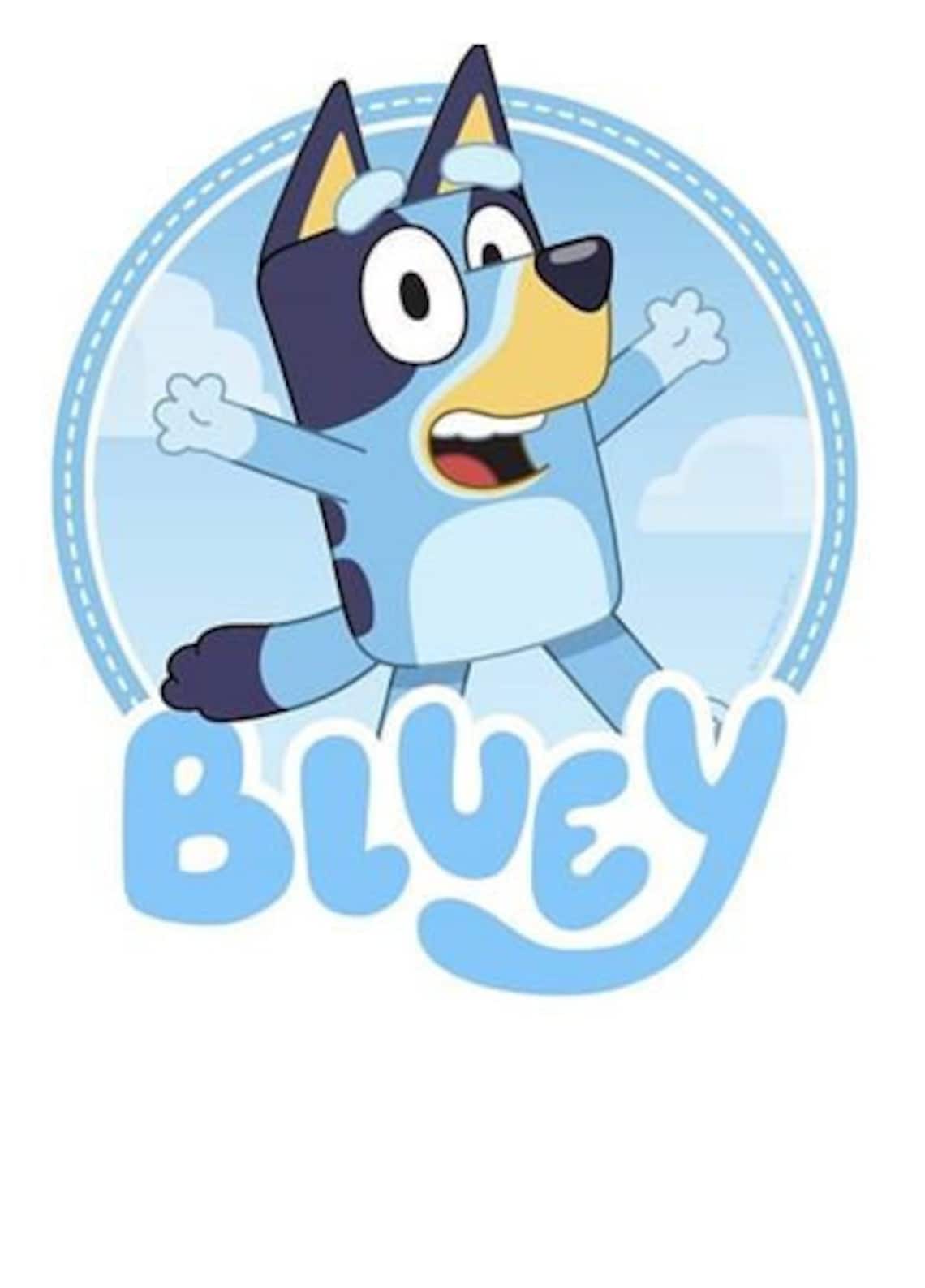 Bluey Circle Iron on transfers Etsy