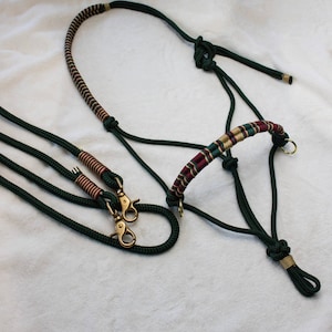 Knot halter in green with matching reins