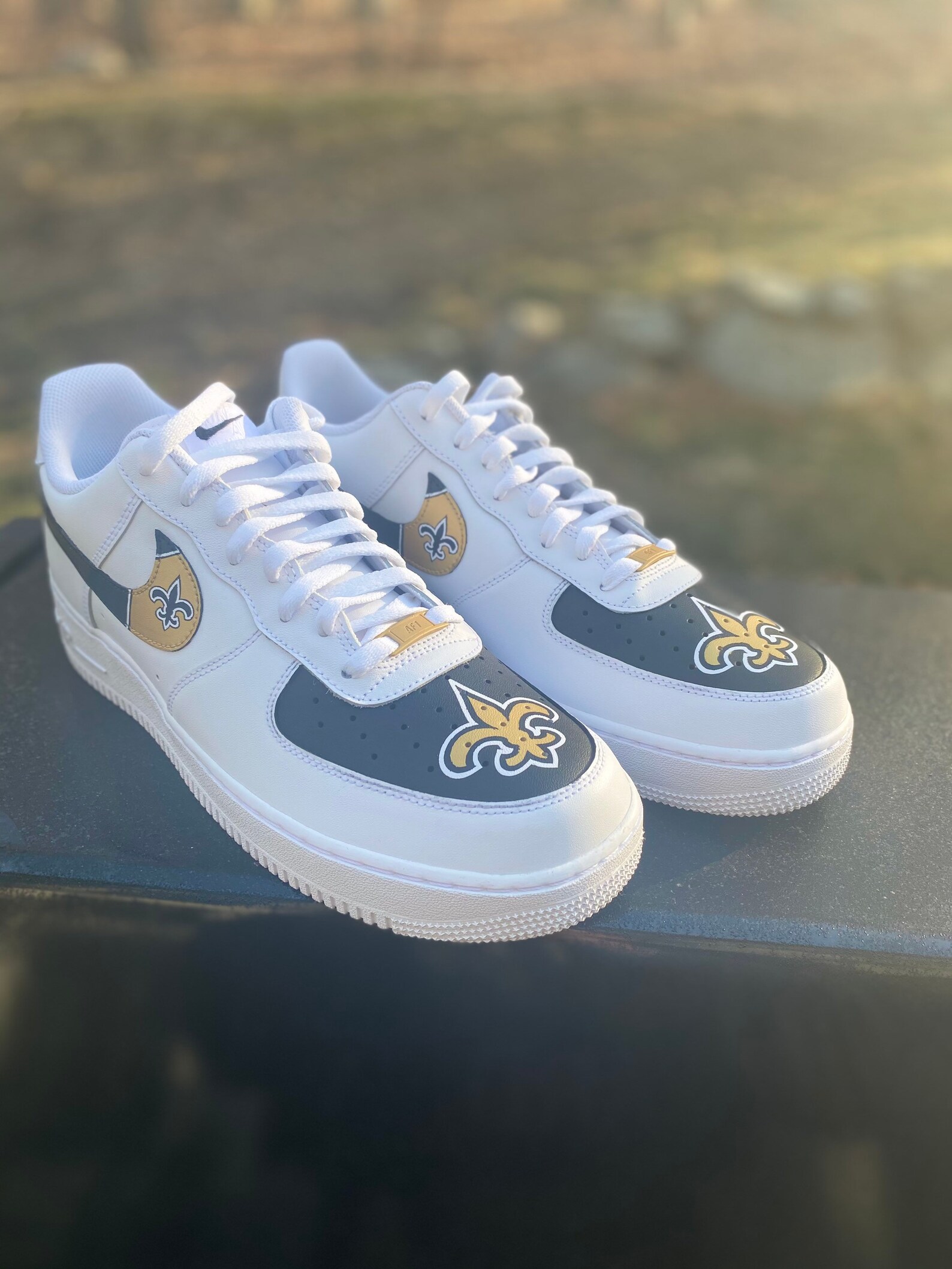 af1s painted