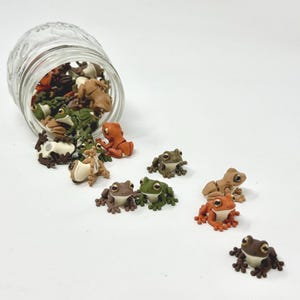 Può includere: Un barattolo di vetro trasparente rovesciato, che versa una collezione di piccole figurine di rane colorate. Le rane sono in varie tonalità di verde, marrone, beige e arancione, con dettagli. Su una superficie bianca.