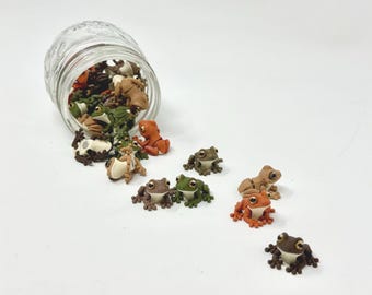 Tiny Toad Fridge Magnet Set of Six (6) 3D Printed Mini Frogs