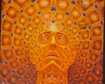 Transfigurations by Alex Grey