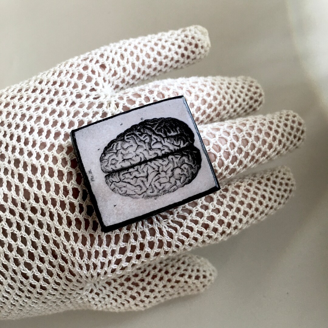 Brain Ring Anatomical Brain Ring, Dark Academia, Aesthetic Jewellery - Etsy Canada
