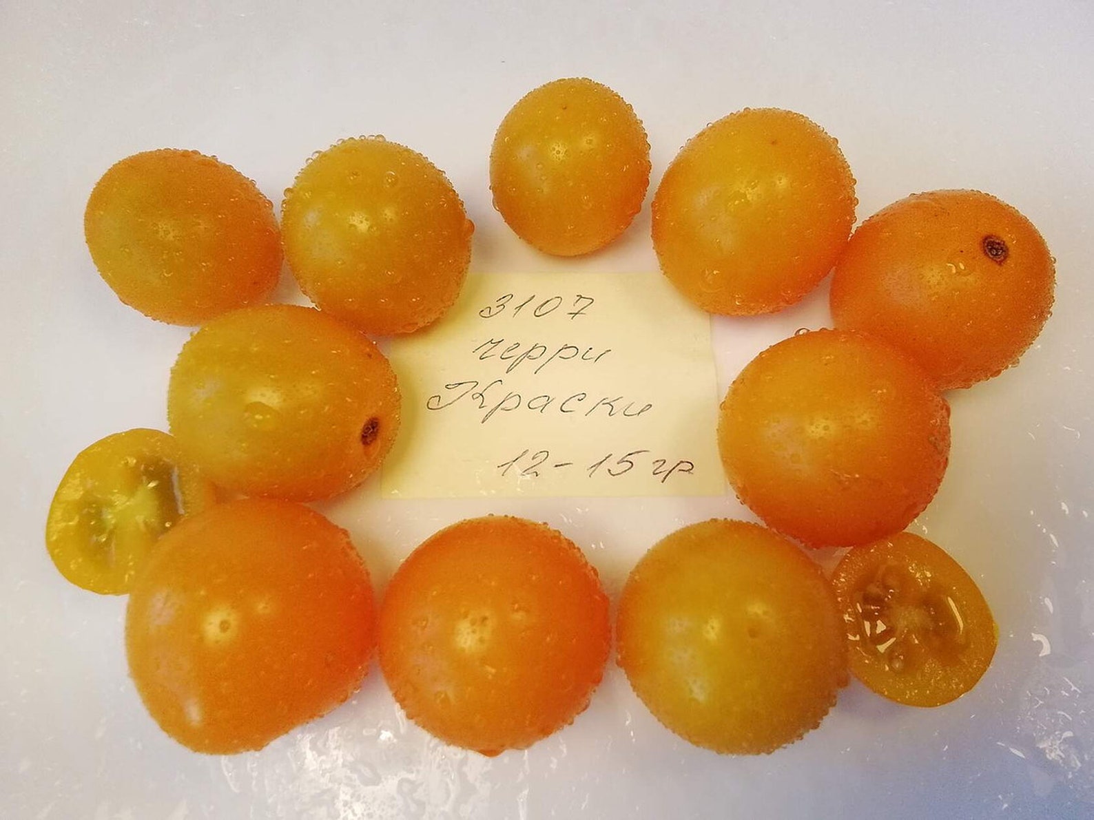 Семена Черри Краски Купить В Минске