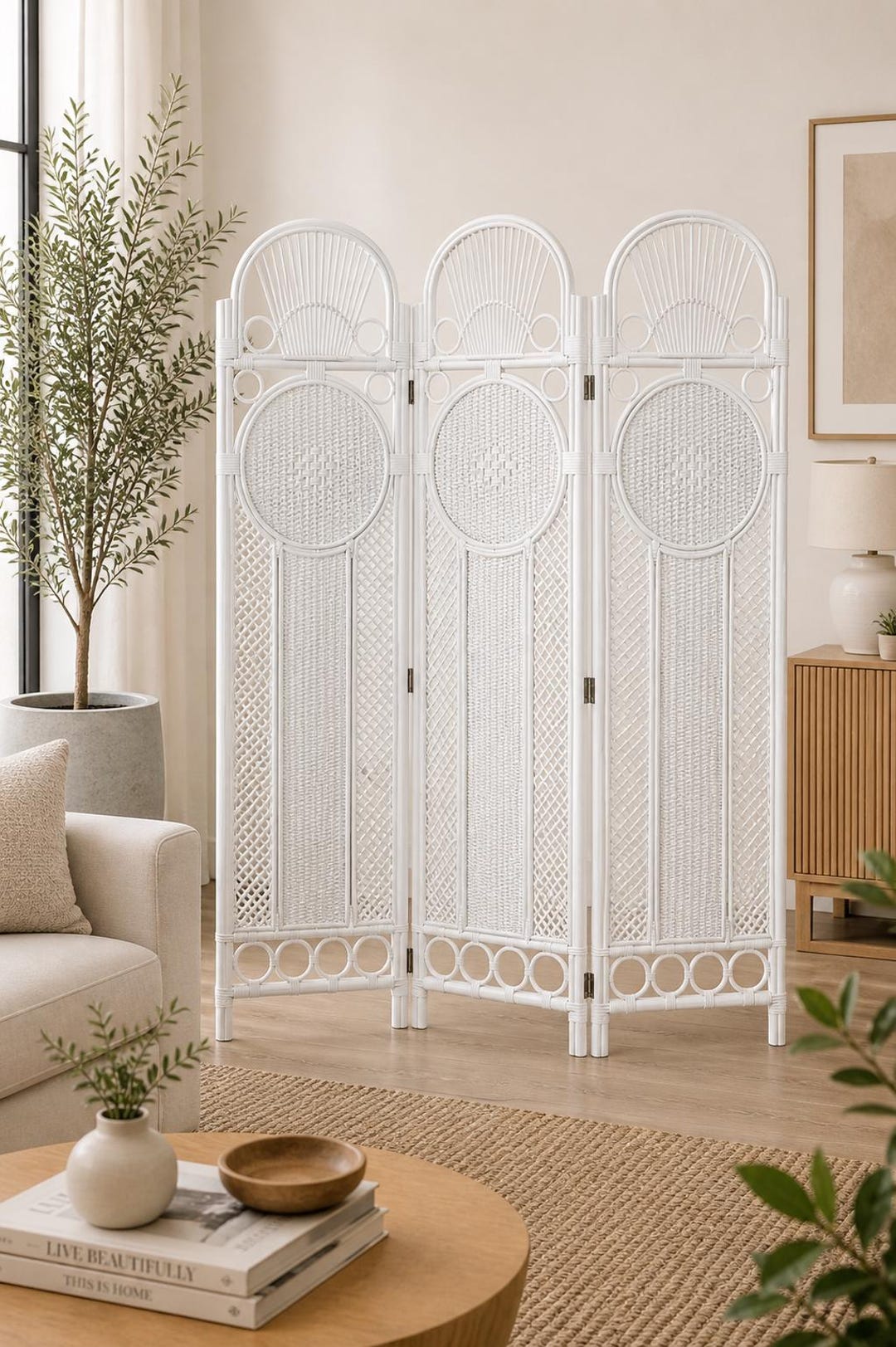 Room Divider for Modern Home Decor | Luxury Cane Privacy Screen ...