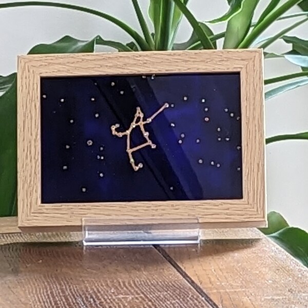 Astrologie celtique la constellation du héros solaire épicéa (persée) tableau à poser avec la légende et le destin (5 05 au 15 05)