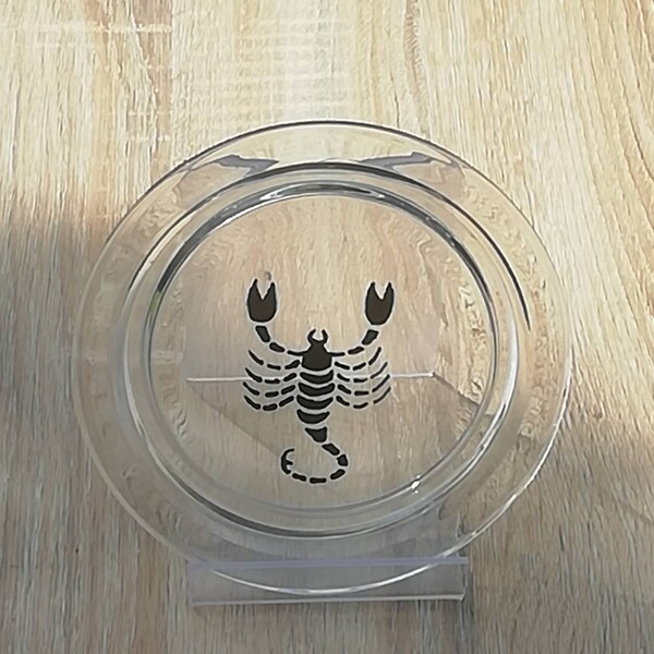 sous verre -Support rond en verre motif scorpion 10cm de diamètre interieur ideal pour poser le sachet de thé ou une bouteille