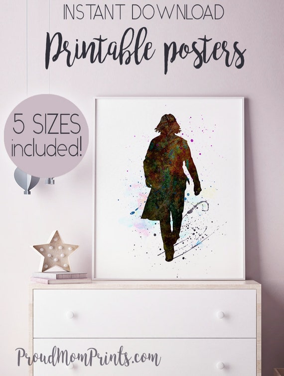 A5 A4 HARRY POTTER HARRY AND HEDWIG WATERCOLOUR WALL ART POSTER PRINT A3