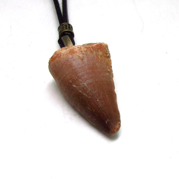 Real Dinosaur Tooth Necklace, Adjustable Pendant Leather Mens Necklace, Surfer Necklace, Fossil Mosasaur Tooth Necklace, Dinosaur Necklace