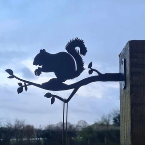 Metal Squirrel Birdfeeder Hanger Holder Station | Garden Art Outdoor Bracket | Hook for Birdfeeders & Chimes | Fixings Included