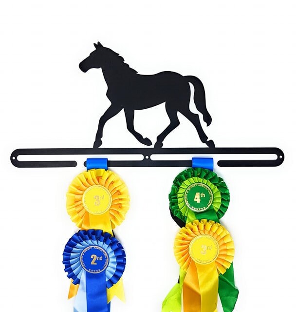 Rosette Hanger/Holder/Display/Rack, *EQUESTRIAN* Black, Metal