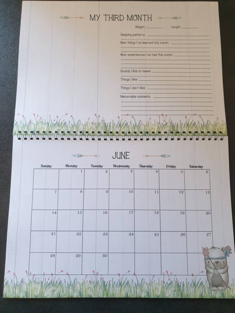 MY LIFE AS A Baby: First-Year Calendar - Woodland Friends [With Sticker