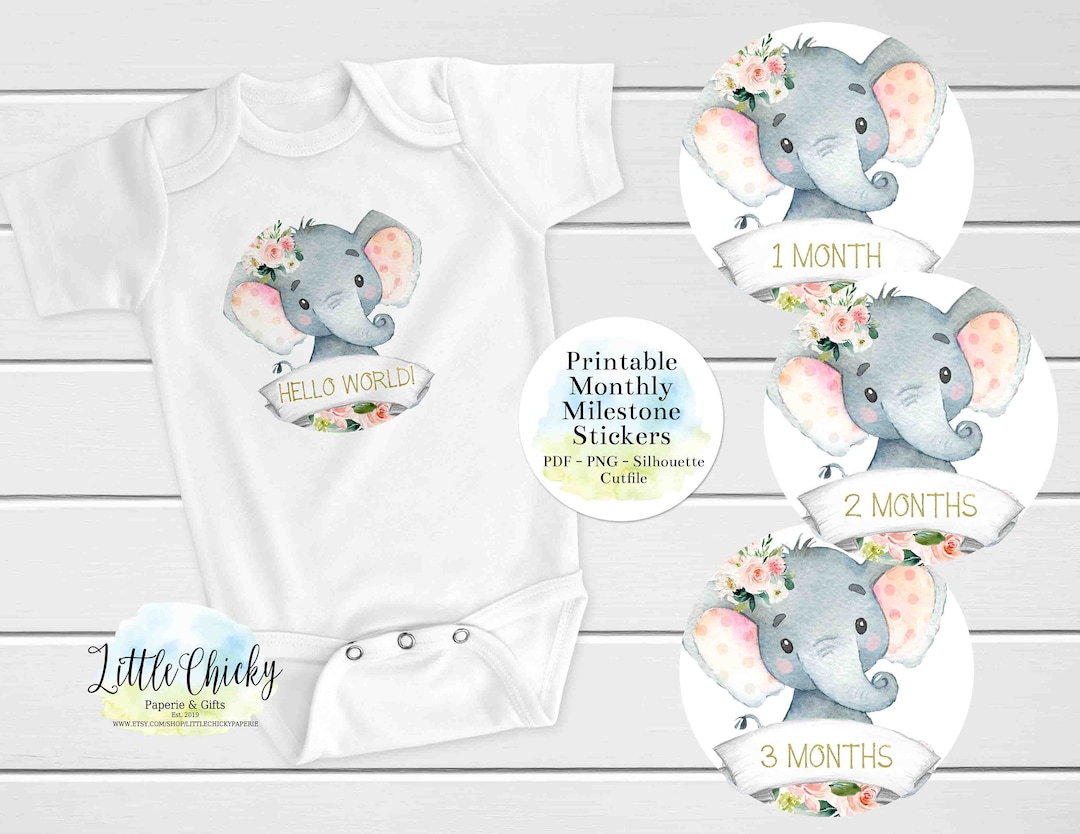Elephant Milestone Stickers, PRINTABLE Monthly Milestone Stickers, Pink ...