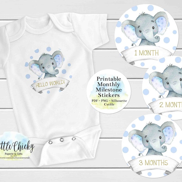 Baby Monthly Milestone Svg - Etsy
