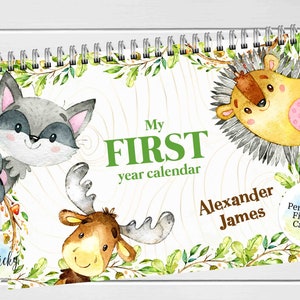 Woodland Animals Baby First Year Calendar, Forest Animals First Year Calendar, Milestone Stickers, First Year Calendar Journal Keepsake