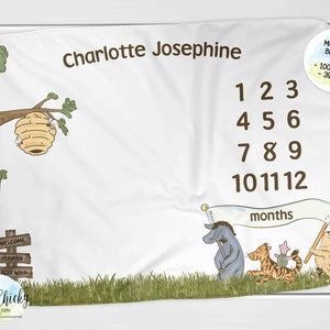 Classic Winnie the Pooh Milestone Blanket, First Year Monthly Photo Blanket, Personalized Milestone Blanket, Baby Shower Gift, New Baby Gift