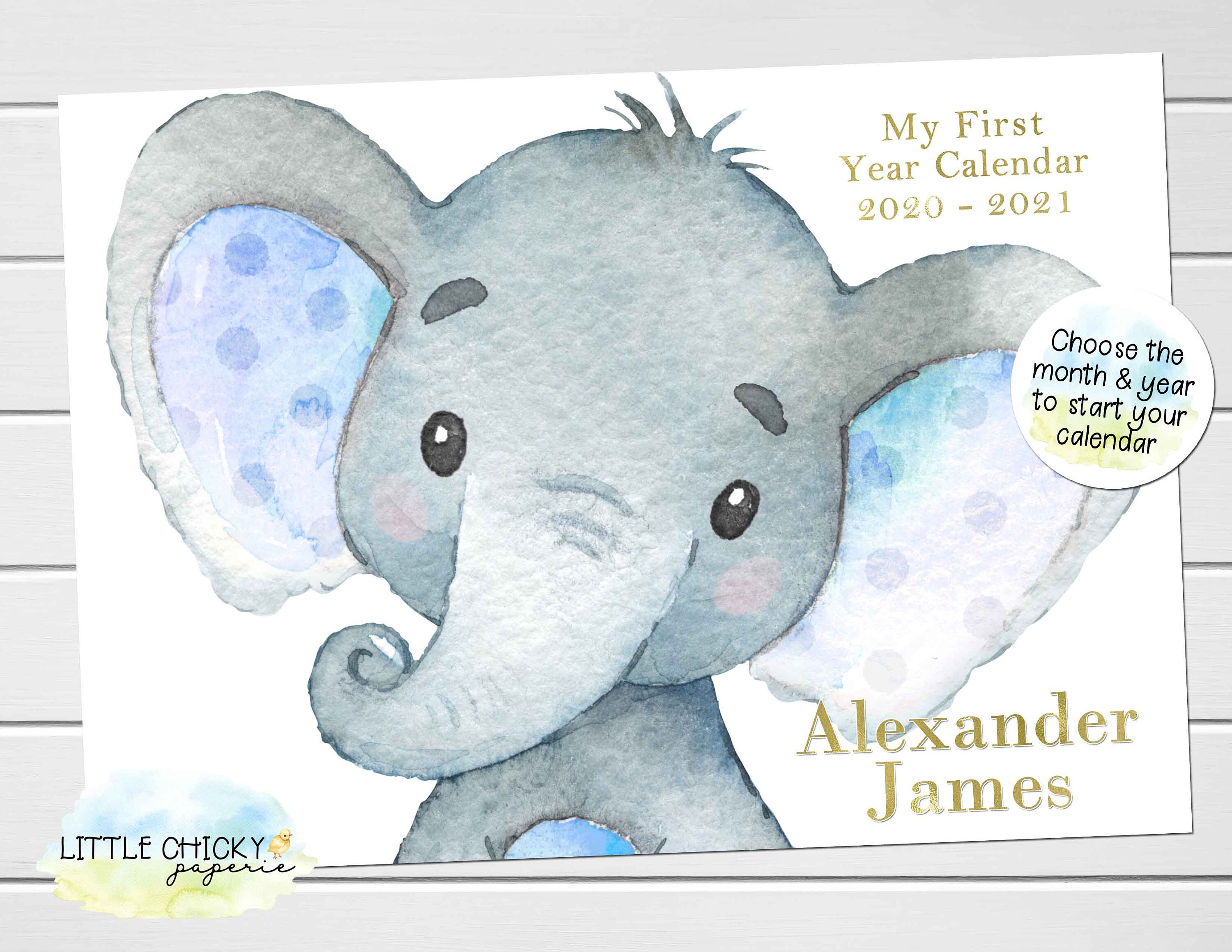 Elephant Baby First Year Keepsake Calendar Blue Elephant Etsy
