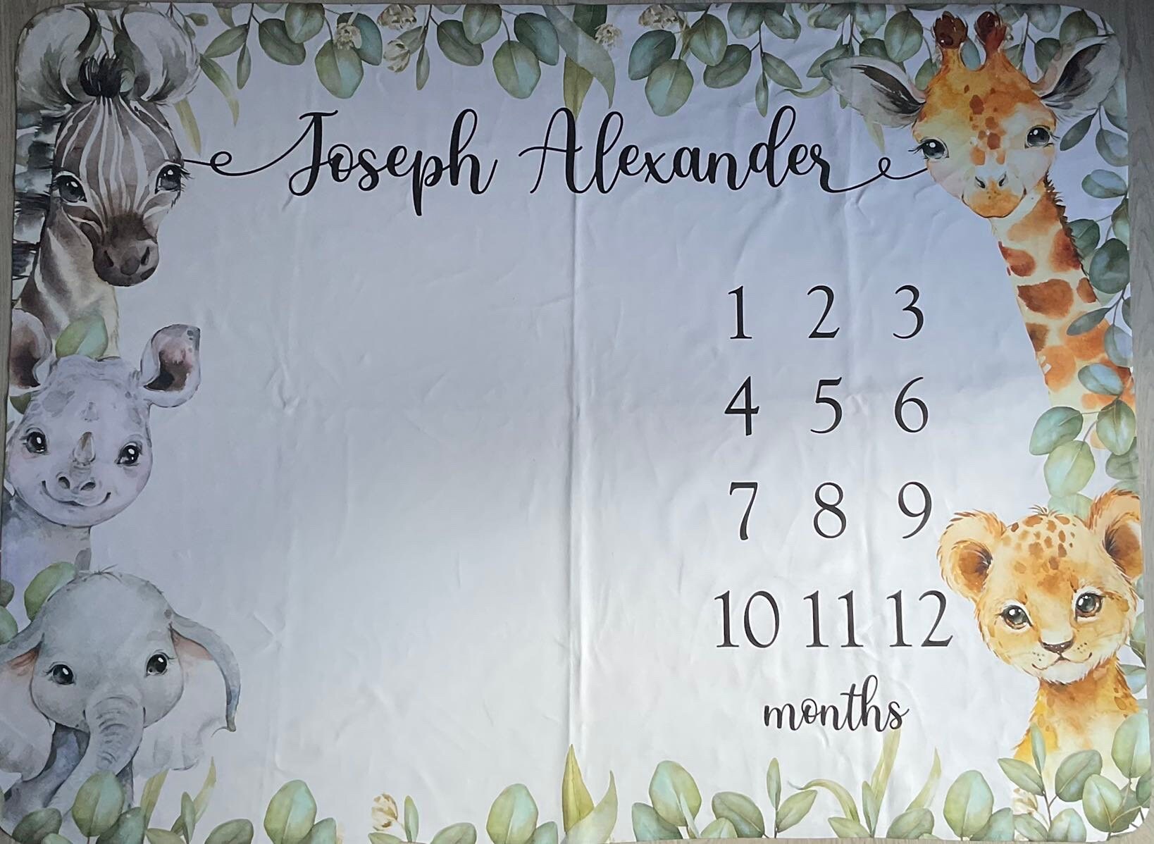 Safari Animals Milestone Blanket Monthly Photo Blanket - Etsy