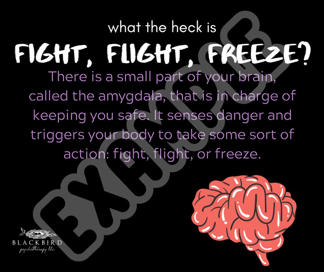 Fight, Flight, Freeze Slideshow - Etsy