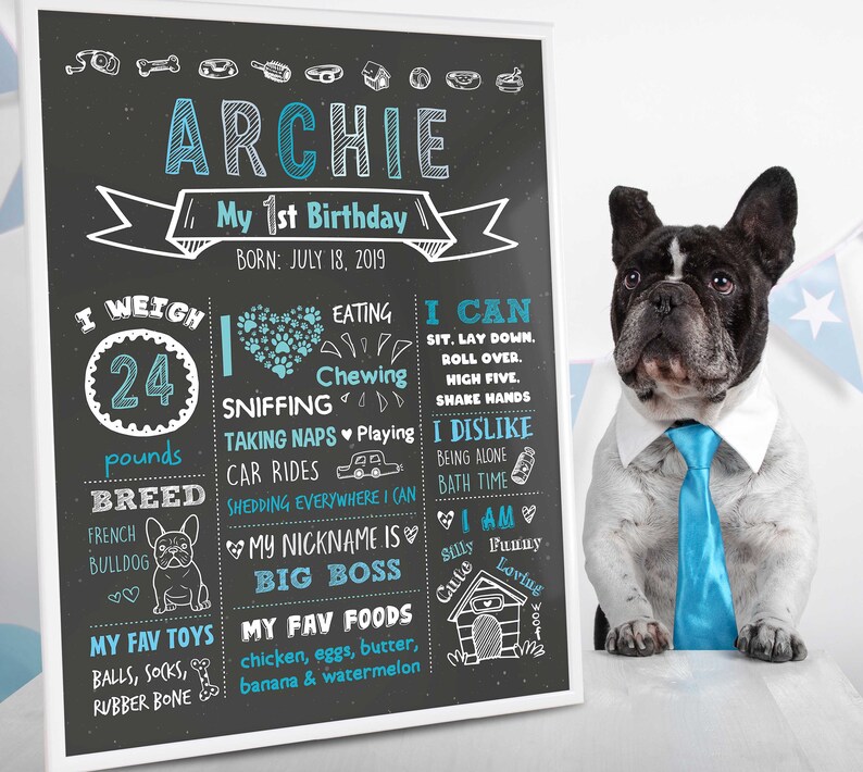 Pet 1st Birthday Chalkboard Dog Birthday Chalkboard Sign Etsy