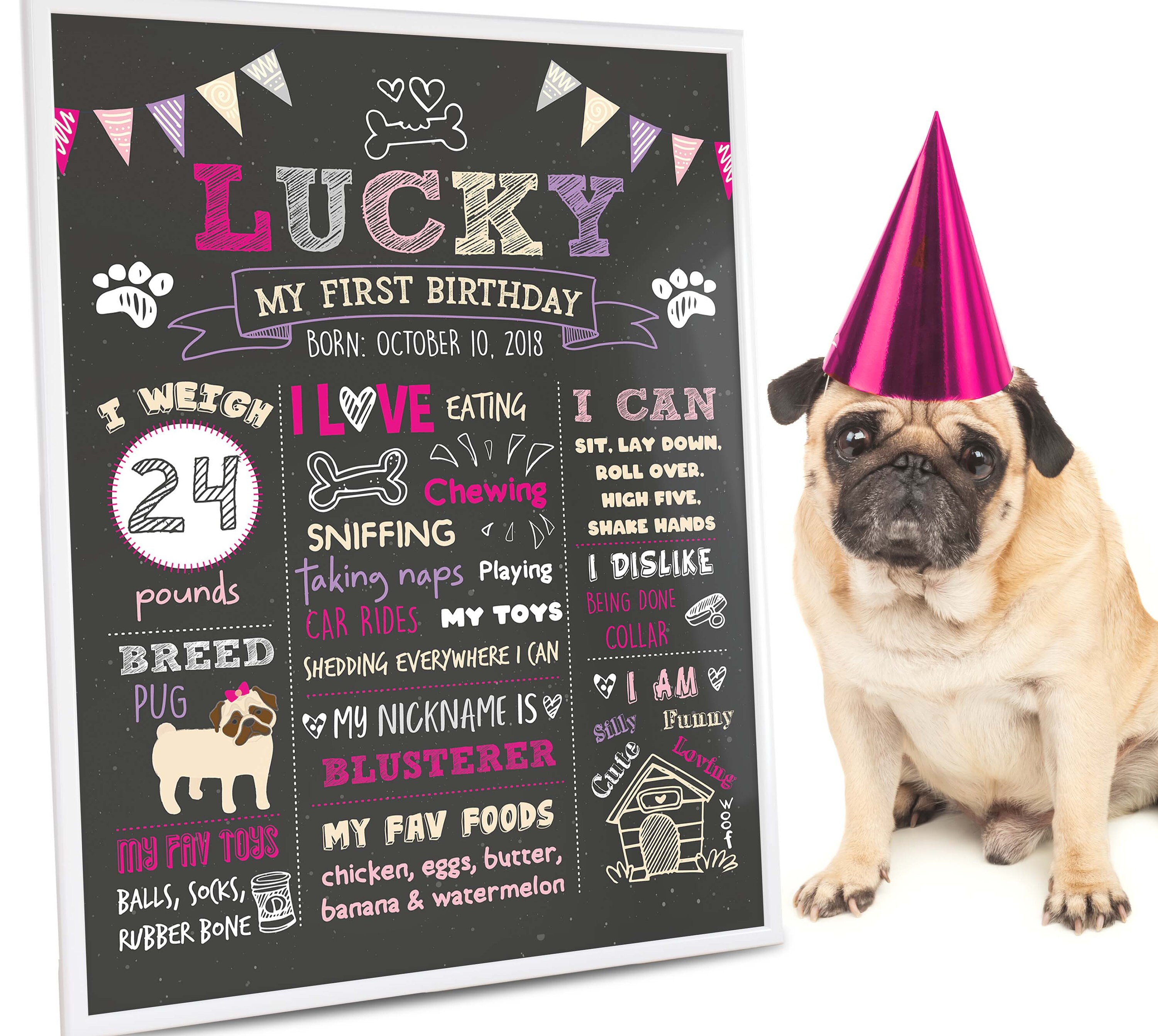Dog Birthday Chalkboard Sign Pet 1st Birthday Chalkboard Etsy