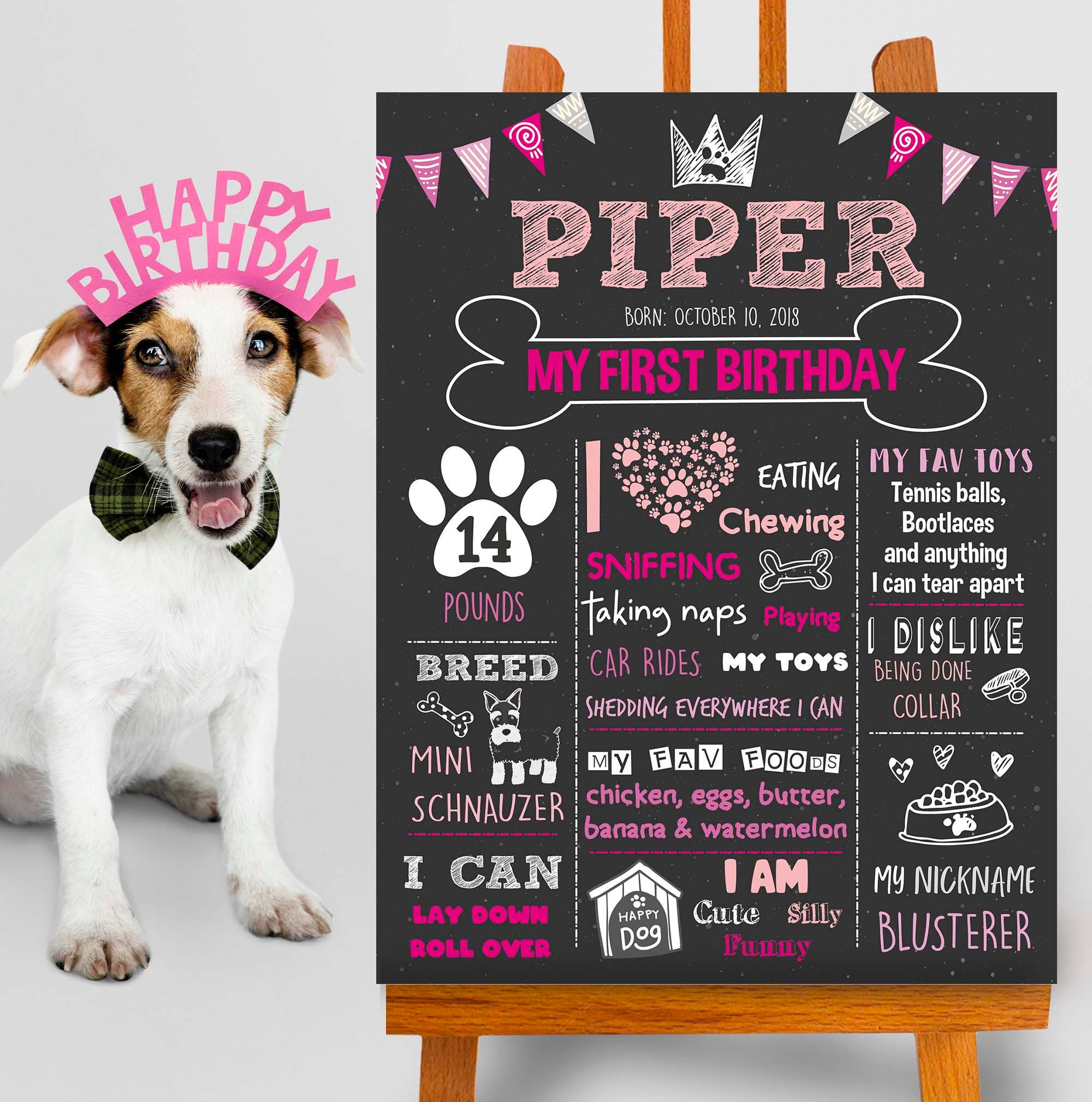 Chalkboard Dogs 1st Birthday Party Dog Birthday Chalkboard Sign
