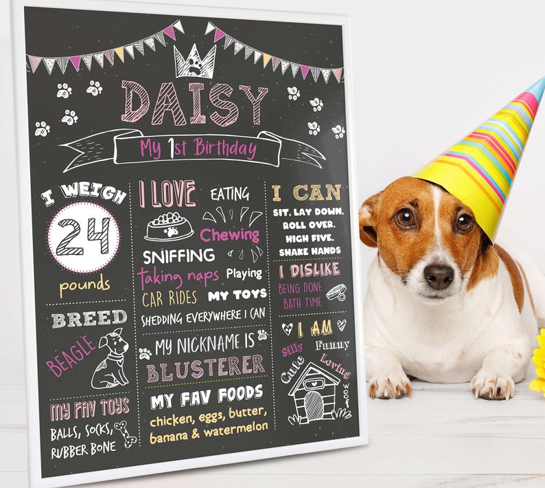 Dog Birthday Chalkboard Sign Puppy Dog Pet 1st Birthday Etsy