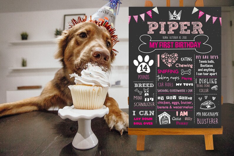 Dog Birthday Chalkboard Sign Pet 1st Birthday Chalkboard Etsy