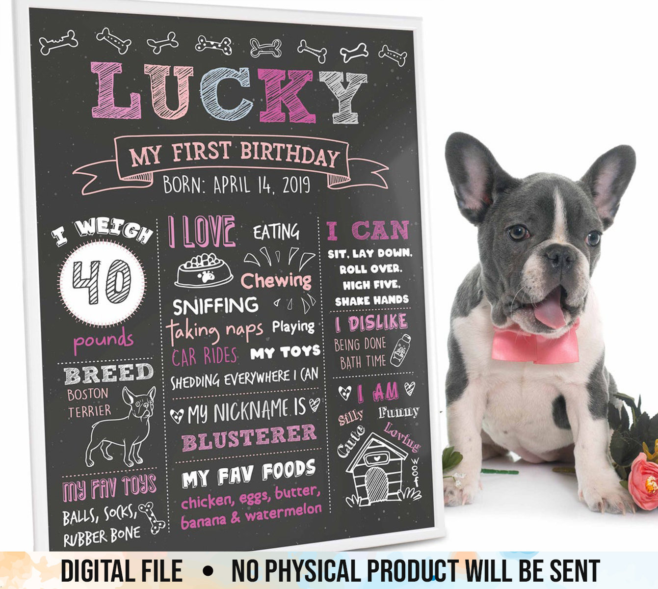 Dog First Birthday Poster Dog Birthday