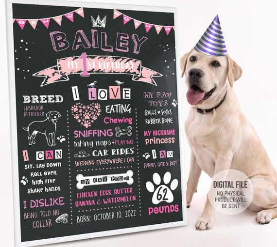 Dog First Birthday Poster Dog Birthday Board Puppy 1st Birthday Chalkboard Personalized Sign Party Decorations Printable Digital File Etsy Australia