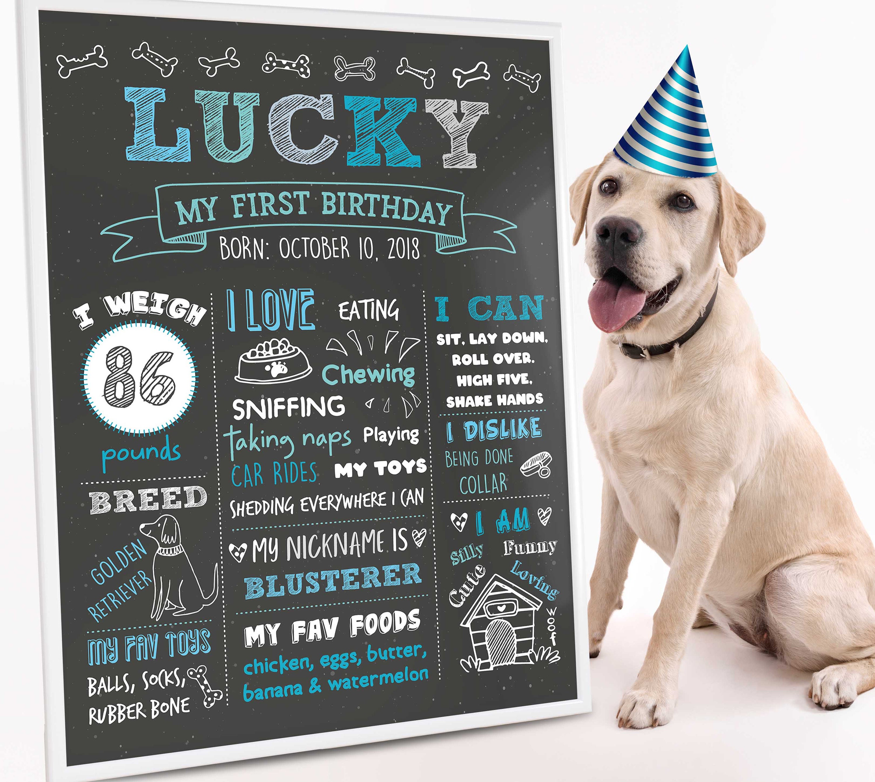 Dog Birthday Chalkboard Sign First Puppy Birthday Banner 1st Etsy