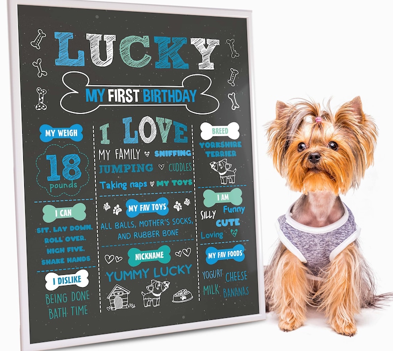 Dog Birthday Chalkboard Sign Pet 1st Birthday Chalkboard Etsy
