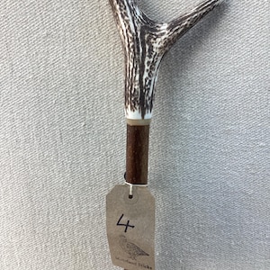 May include: A walking stick featuring a Y-shaped antler handle with a textured brown and white surface. The shaft is made of dark brown wood. A brown paper tag is attached to the shaft, displaying the number 4 and a bird illustration.