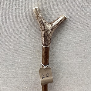 May include: A walking stick featuring a Y-shaped handle made of textured brown and white antler material. The shaft is a smooth, dark brown wooden rod. A small, rectangular tan paper tag with the handwritten number 20 is attached to the shaft.