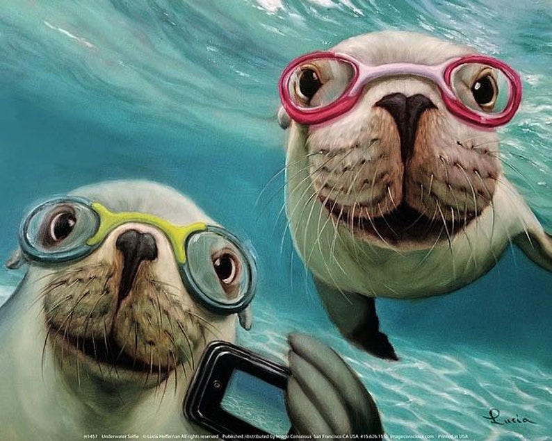 selfie seals sea lion marine life seal poster Lucia image 0
