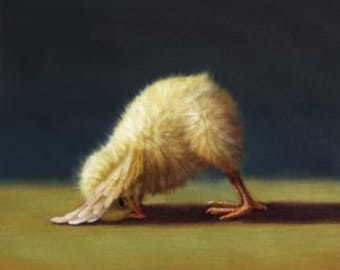 May include: A yellow chick with its head tucked under its wing, standing on a green surface with a dark background.