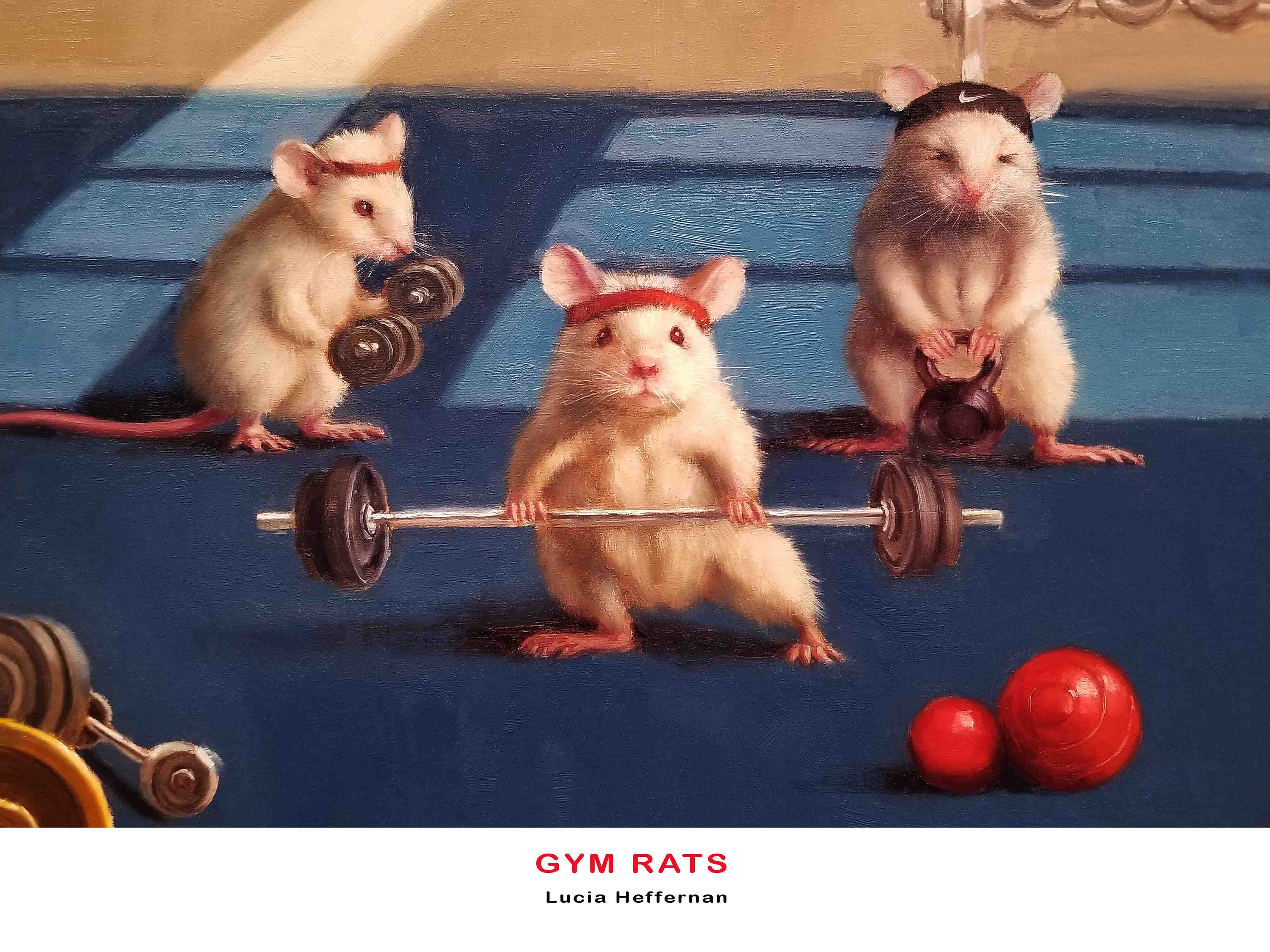 Gym Rats With Text Art Print -  Israel