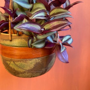 Hanging pot in terracotta, leather & macramé / unique piece / artistic craft / special gift
