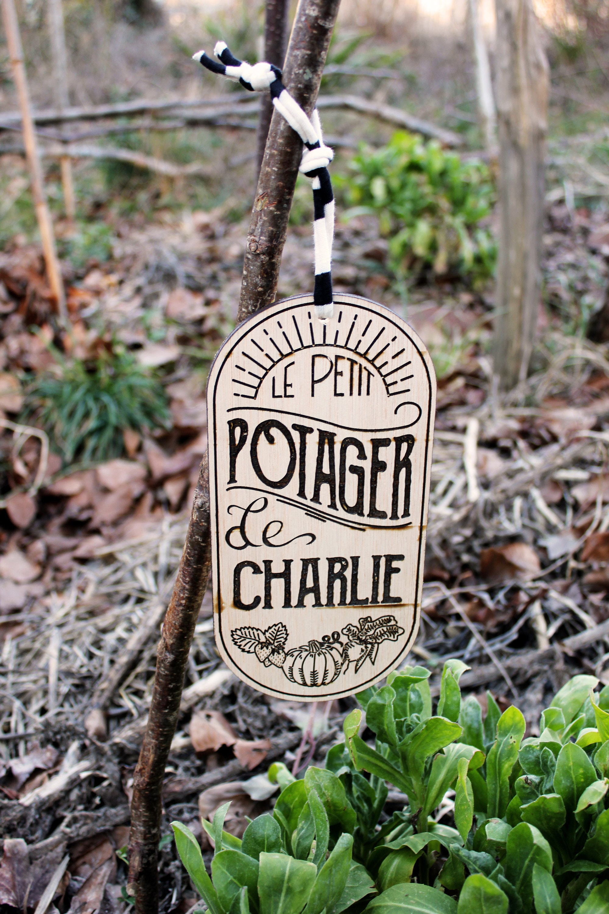 Personalisiertes Schild für Gemüsegarten / Gemüsegarten Deko / Etsy