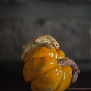 Peut inclure: Une petite figurine en céramique sculptée à la main représentant une citrouille orange vif brillante avec une tige brune texturée. Un lapin beige clair sculpté, avec des détails visibles aux oreilles et au visage, repose sur la citrouille.