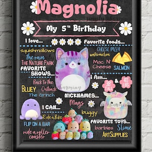 Squishmallow  Birthday Sign
