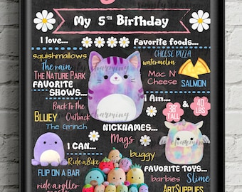 Squishmallow  Birthday Sign