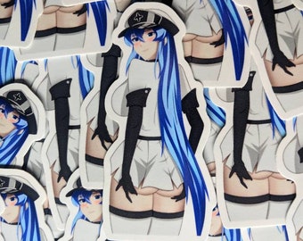 Esdeath Akame Ga Kill Sticker - Esdeath Akame Ga Kill - Discover