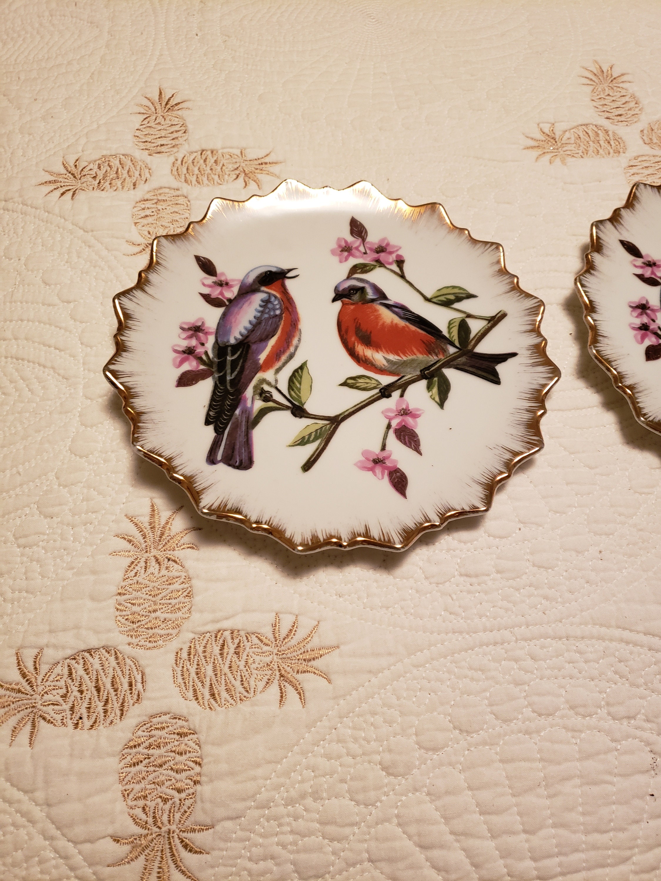Beautiful 7 inch decorative bird plates with sunburst edges Etsy