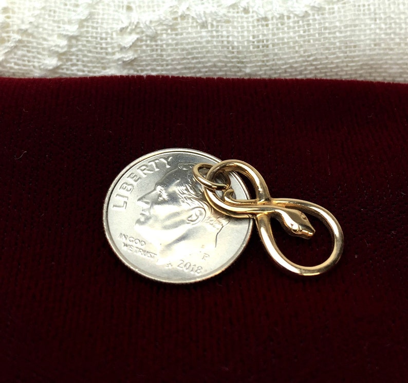 Sterling Silver Infinity Snake Charm Infinity Charm Natural Etsy