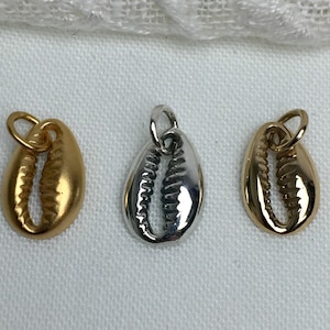 SAVE BIG -Cowrie Shell Charm - Nautical Jewelry, Shell, Ocean, Beachcomber, Sealife Jewelry