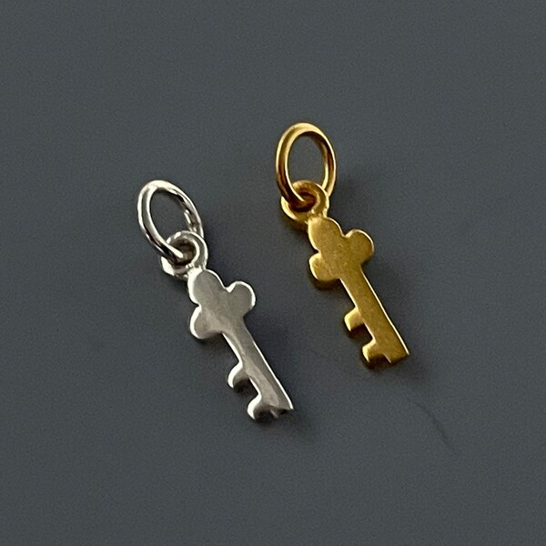 35% Off Sale No Coupon Needed Tiny Skeleton Key Charms, Sterling Silver, Gold Plated