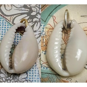 SAVE BIG -Natural Cowrie Shell Pendant with 14kt Gold Filled Jump Ring